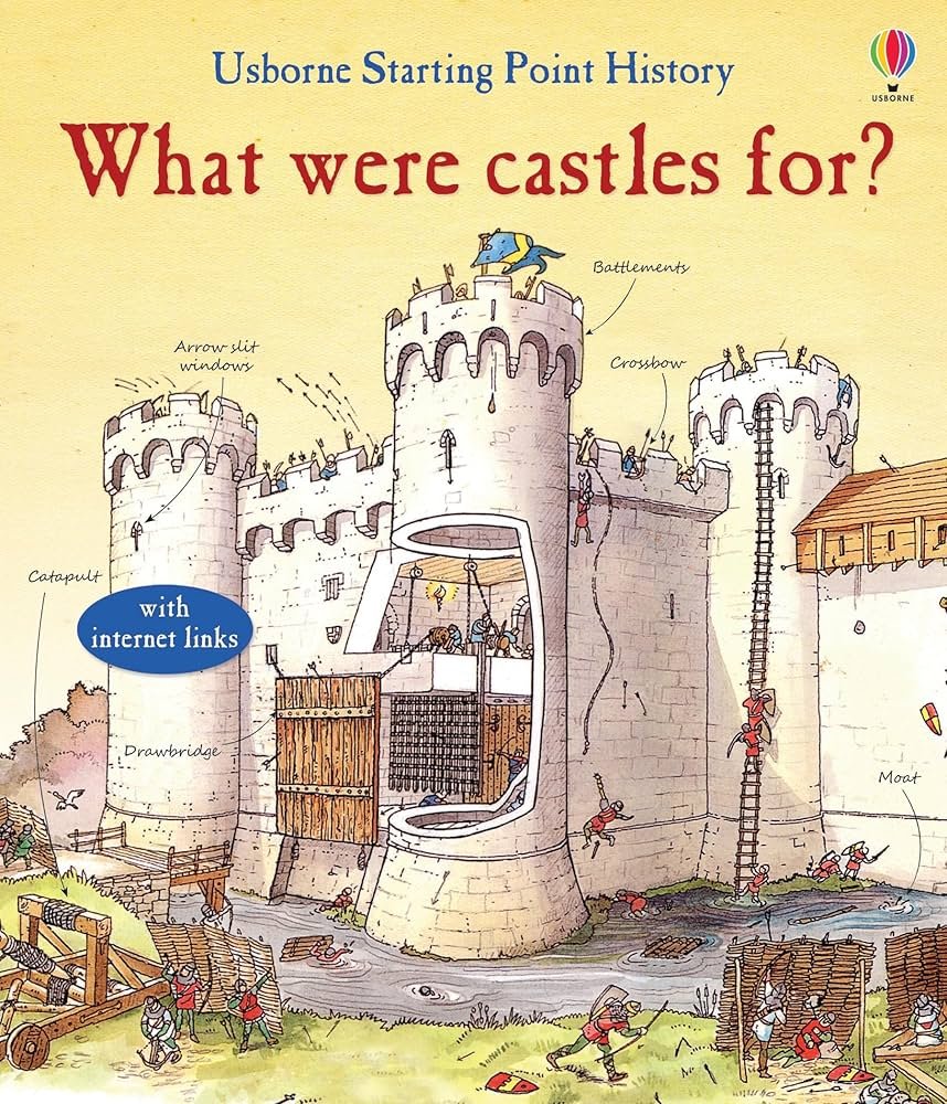 What Were Castles For ?